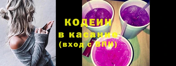 молекула духа Волоколамск