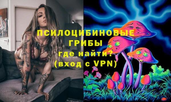 первитин Володарск
