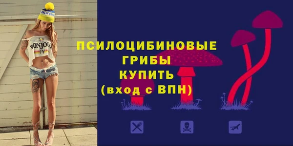 первитин Володарск