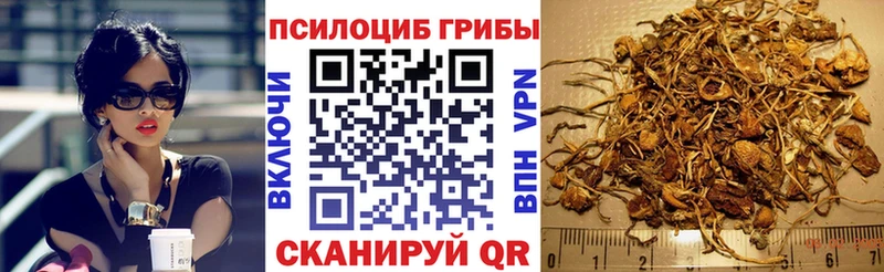 наркотики  Ермолино  Галлюциногенные грибы Psilocybe 